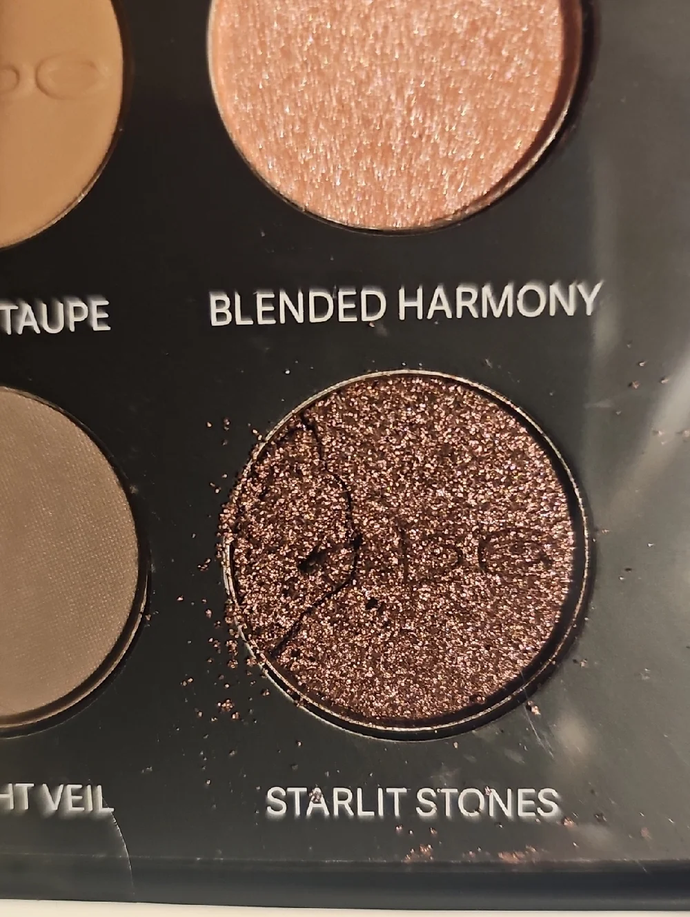 bebe Infinite Radiance 20-Piece Eyeshadow Palette with Brush